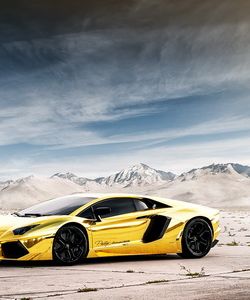 Арт.05894 Lamborghini