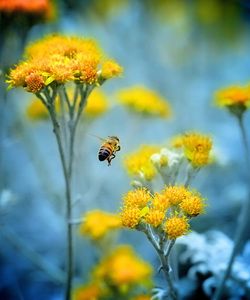 Арт.38325 Пчела